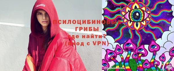 дурь Кукмор