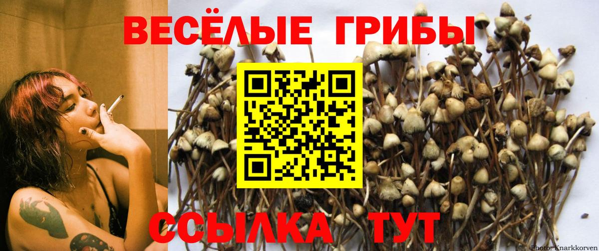 Галлюциногенные грибы прущие грибы  Псилоцибиновые грибы GOLDEN TEACHER  Фурманов 