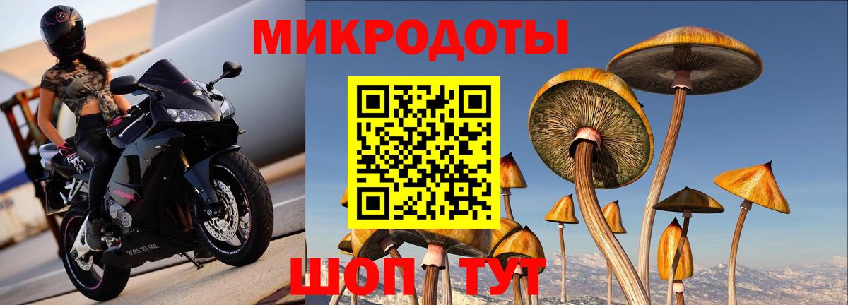 Фурманов  купить наркоту  Вход с VPN  Псилоцибиновые грибы мицелий 