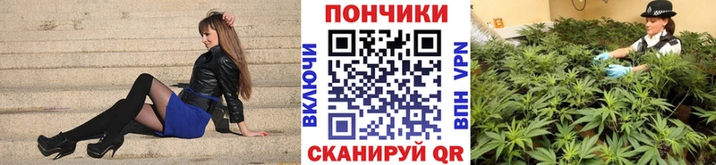 Бошки Шишки планчик Фурманов